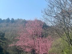 -阿哈湖国家湿地公园