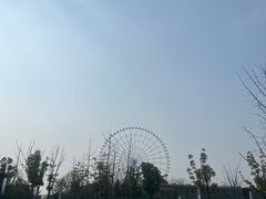 -水上明月·湖景餐厅