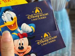 -上海迪士尼度假区