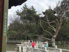 -汇龙潭