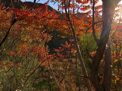 -京西十八潭风景区