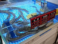 -皮记海鲜1995(寮步店)