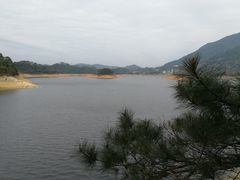 -广州市流溪河国家森林公园