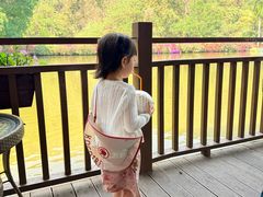 -西双版纳原始森林公园