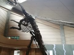 -诸城市恐龙博物馆