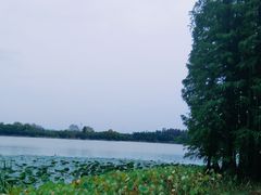 -东湖落雁景区