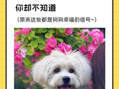 -美联众合动物医院·24h转诊中心