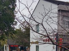 -鸣鹤古镇