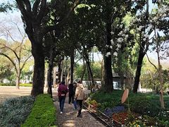 -汇龙潭