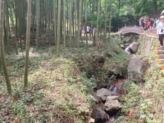 -莫干山风景区