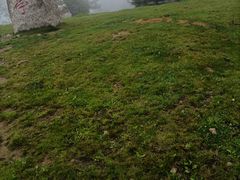 -老秃顶草原景区