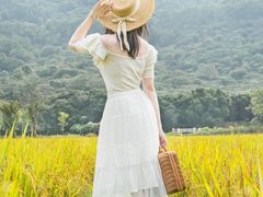 -艾米稻香小镇