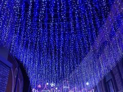 -Salud撒露欧洲冻酸奶(蓝色港湾店)