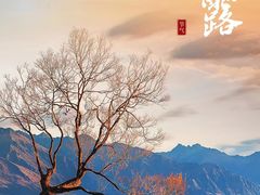 -裕和堂中医推拿艾灸(太古汇臻品店)