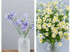 -花木兰花艺MULAN(温馨花园店)