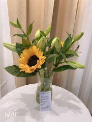 -凡碧诗毛孔清洁收细