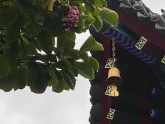 -西安市广仁寺