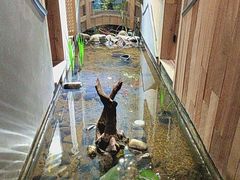 -邈墨茶馆(凤起路店)