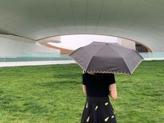-郑东新区龙湖公共艺术中心