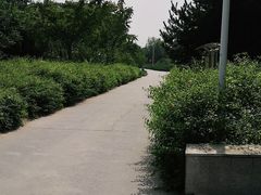 -绿堤公园