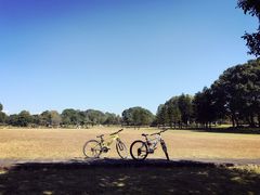 -福建鲤鱼洲酒店