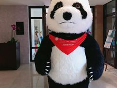 -三亚湾海居铂尔曼度假酒店