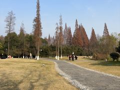 -习家池