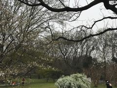 -紫霞湖公园