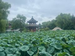 -莲池书院博物馆