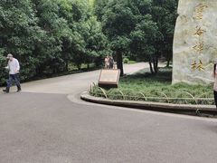 -灵谷景区