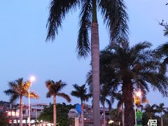 -黄金海岸环岛路