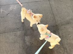 -宫七SPA·高端Massage(浦东大道店)