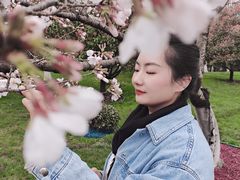 -堤角公园