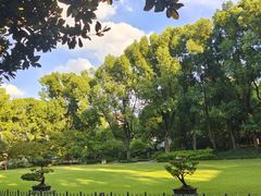 -申粤轩酒楼·三十年粤菜经典(丁香花园店)