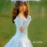 外景法式复古风婚纱照 浪漫至死不渝