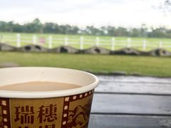 -瑞穗牧场
