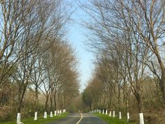 -天目湖涵田半山温泉