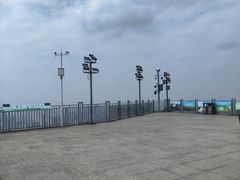 -大金鹰园