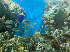 -福州罗源湾海洋世界旅游区