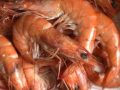 -宾朋海鲜特色美食餐厅·纯手工鲅鱼水饺(兴海路店)