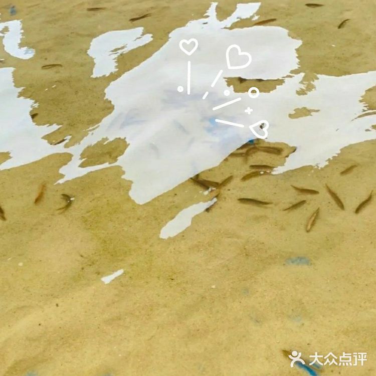 去深圳南山天空之城萌萌小动物超可爱
