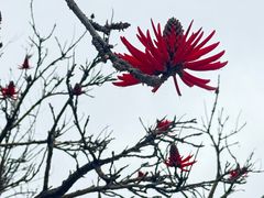 -华特·迪士尼音乐厅