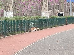 -西安市长乐公园
