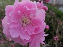 -北京师范大学邱季端体育馆