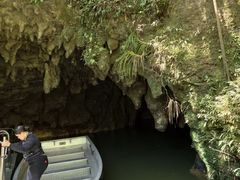 -怀托摩萤火虫洞