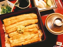 -料亭菊水楼