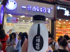 裸酸奶-一只酸奶牛(八一路店)