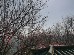 -台州府城(江南长城)