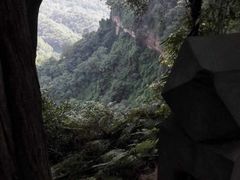 -秀丽东方