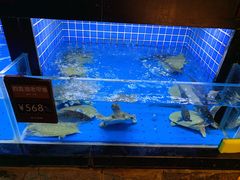 -徐记海鲜(汉城湖|太奥店)